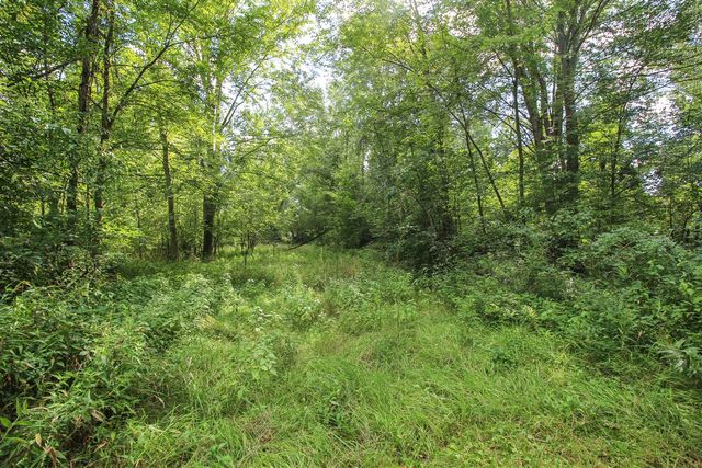 18124 S Fisher Lake Road, Three Rivers, MI 49093