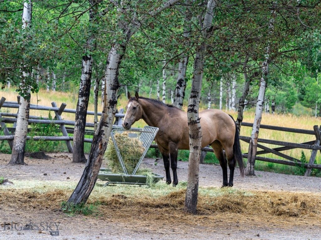 210 Upper Kelly Creek Road, Bozeman, MT 59715 photo 37