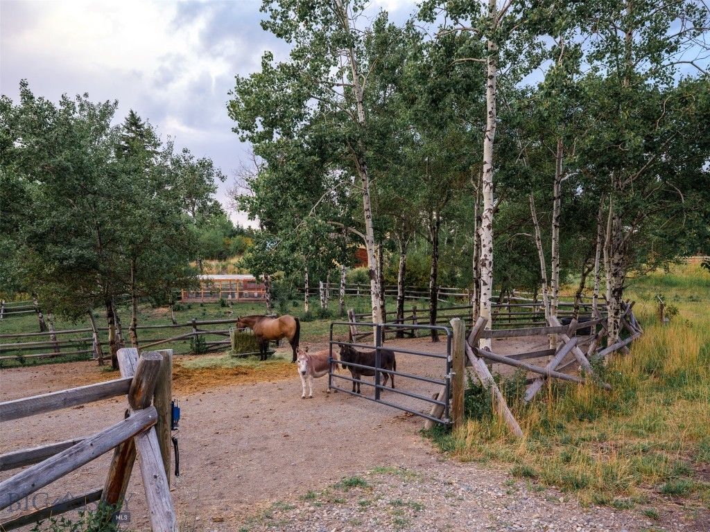 210 Upper Kelly Creek Road, Bozeman, MT 59715 photo 45