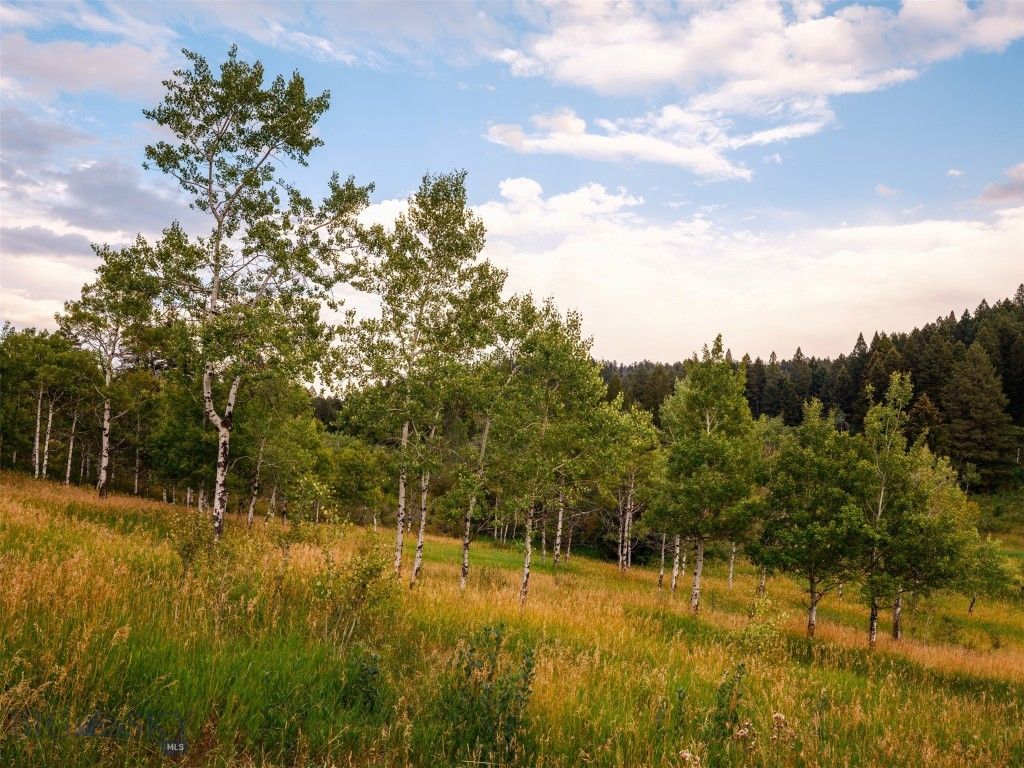 210 Upper Kelly Creek Road, Bozeman, MT 59715 photo 64