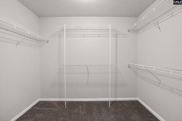 101 Denby Circle, Columbia, SC 29229