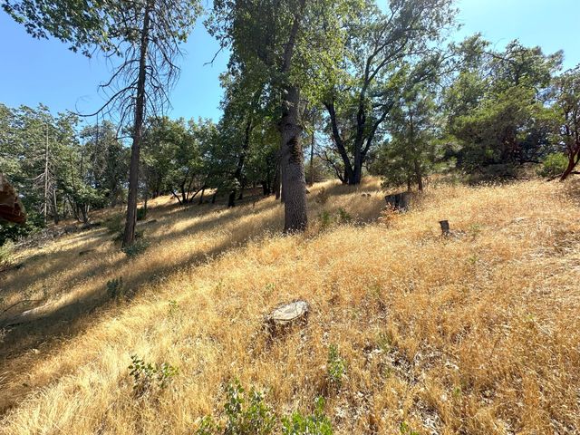 44971 Pine Flat Drive, California Hot Springs, CA 93207