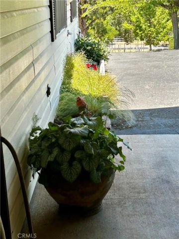131 Ryan Road, Lakeport, CA 95453