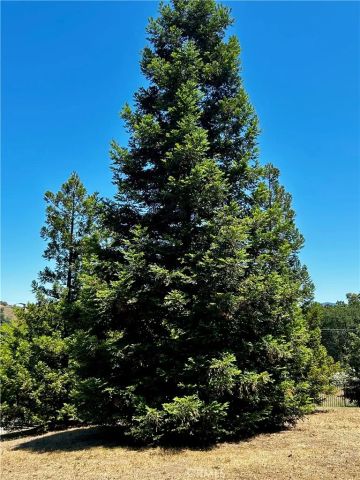 131 Ryan Road, Lakeport, CA 95453