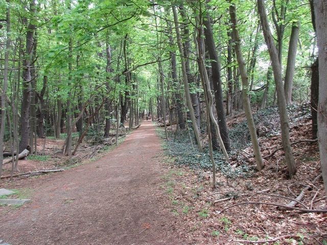 178 Beethoven Ave. -, Newton, MA 02468