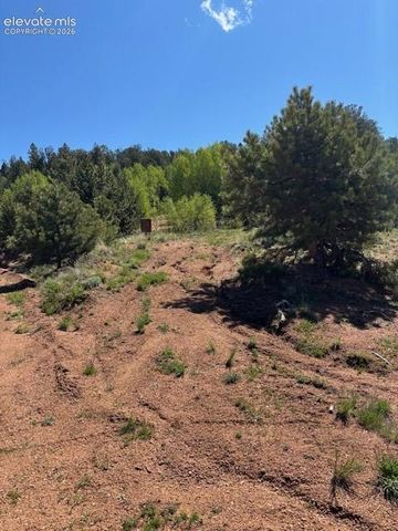124 Yorktown Drive, Cripple Creek, CO 80813