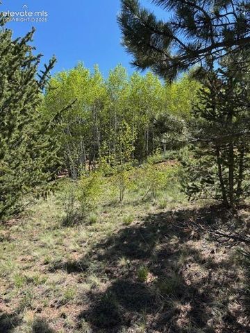 124 Yorktown Drive, Cripple Creek, CO 80813