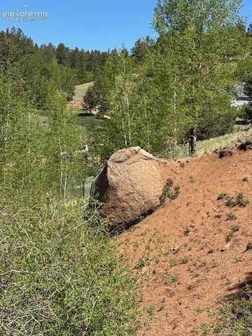 124 Yorktown Drive, Cripple Creek, CO 80813