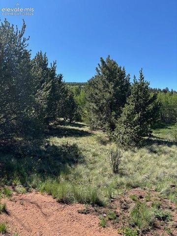 124 Yorktown Drive, Cripple Creek, CO 80813