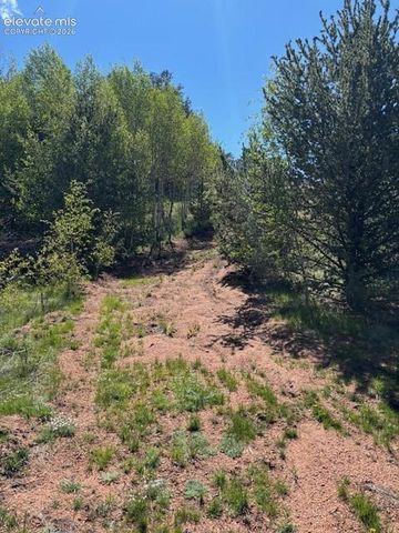 124 Yorktown Drive, Cripple Creek, CO 80813