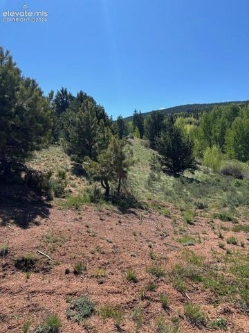 124 Yorktown Drive, Cripple Creek, CO 80813