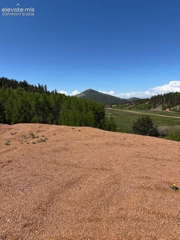 124 Yorktown Drive, Cripple Creek, CO 80813