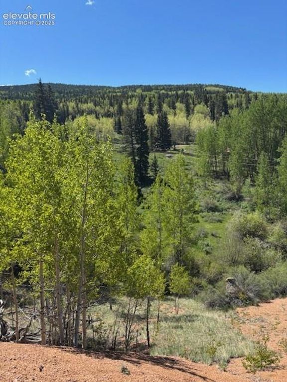 124 Yorktown Drive, Cripple Creek, CO 80813