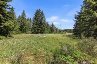 22030 Peissner Road SE, Yelm, WA 98597