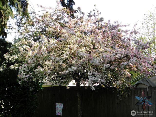 13801 59th Ave SE, Everett, WA 98208