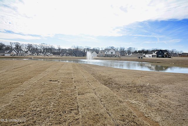 343 Camp Crossing, Hernando, MS 38632