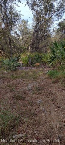 6117 Lake Front Drive, Sebring, FL 33876