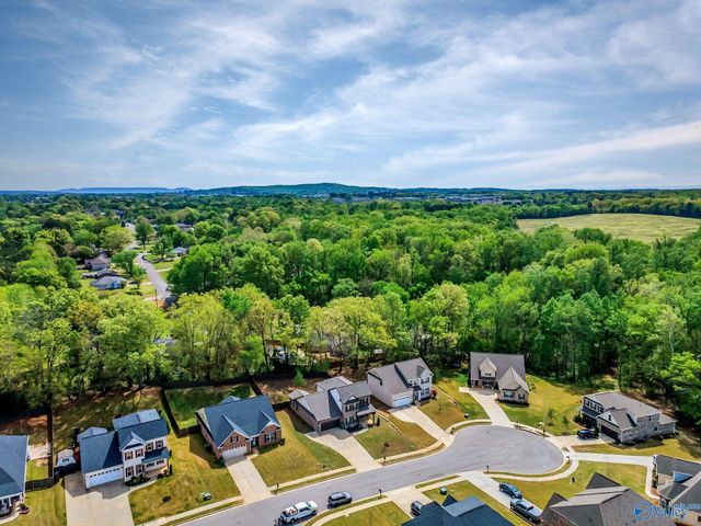 14134 Grey Goose Lane, Harvest, AL 35749