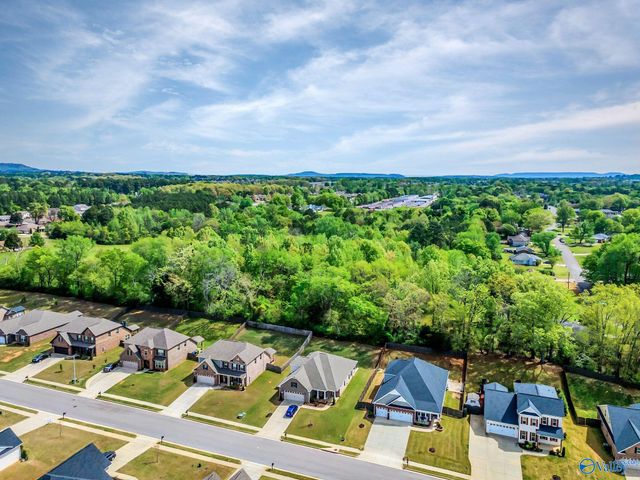 14134 Grey Goose Lane, Harvest, AL 35749