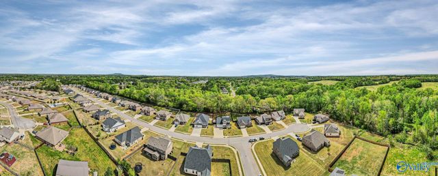 14134 Grey Goose Lane, Harvest, AL 35749