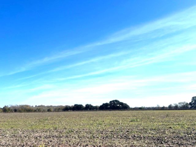 28 Acres Shaws Bend Road, Columbus, TX 78934