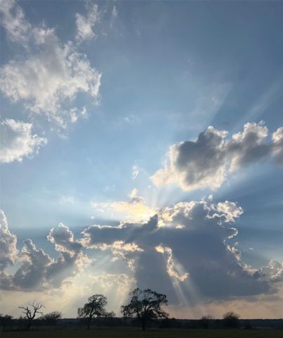 28 Acres Shaws Bend Road, Columbus, TX 78934