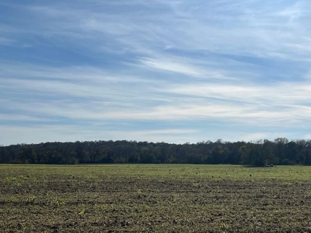 28 Acres Shaws Bend Road, Columbus, TX 78934