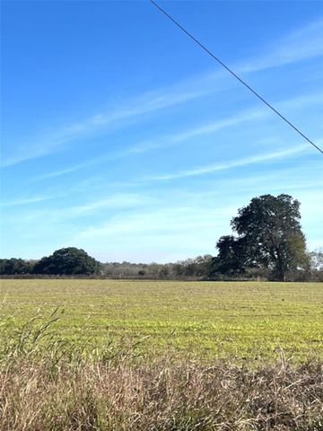 28 Acres Shaws Bend Road, Columbus, TX 78934