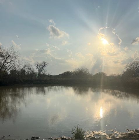 28 Acres Shaws Bend Road, Columbus, TX 78934