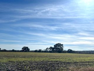 28 Acres Shaws Bend Road, Columbus, TX 78934