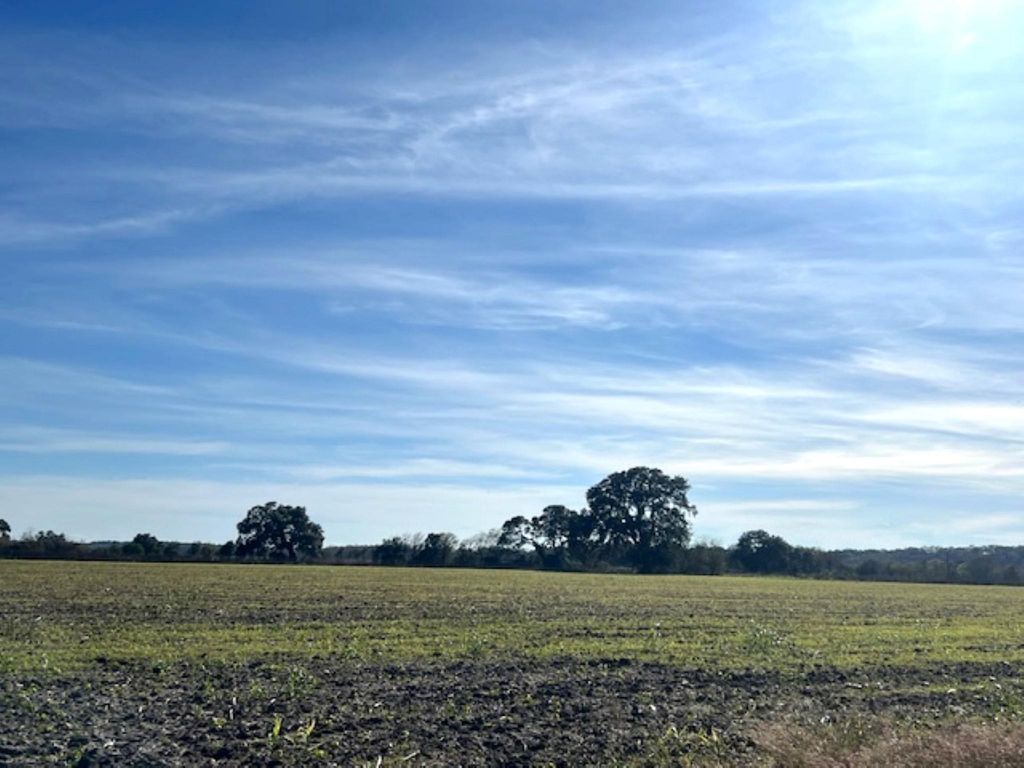 28 Acres Shaws Bend Road, Columbus, TX 78934