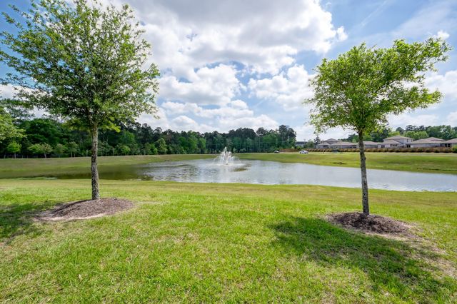 514 Dalloway Street, Conroe, TX 77316