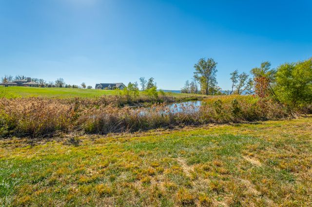 0 Jasper Springs Drive Jh185, Jasper, TN 37347