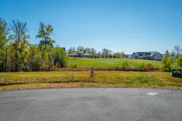 0 Jasper Springs Drive Jh185, Jasper, TN 37347
