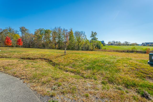 0 Jasper Springs Drive Jh185, Jasper, TN 37347