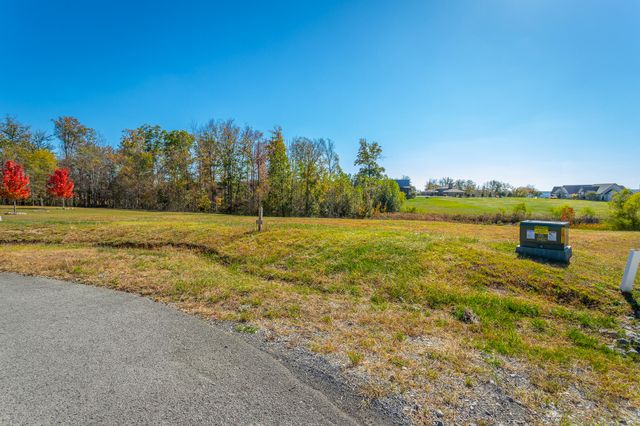 0 Jasper Springs Drive Jh185, Jasper, TN 37347