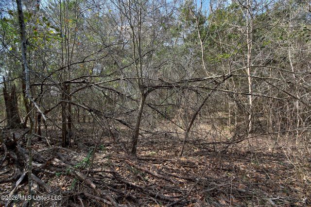 00 Waveland Avenue, Waveland, MS 39576