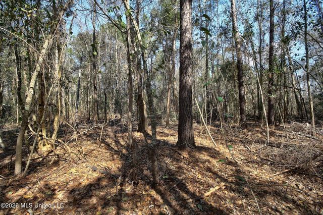 00 Waveland Avenue, Waveland, MS 39576