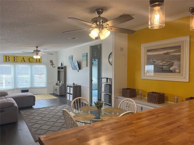 254 SEABREEZE DRIVE, Flagler Beach, FL 32136