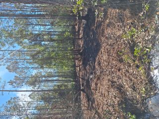 0 E DIXIE Street, Palatka, FL 32177