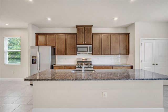 14478 PROMENADE, Odessa, FL 33556