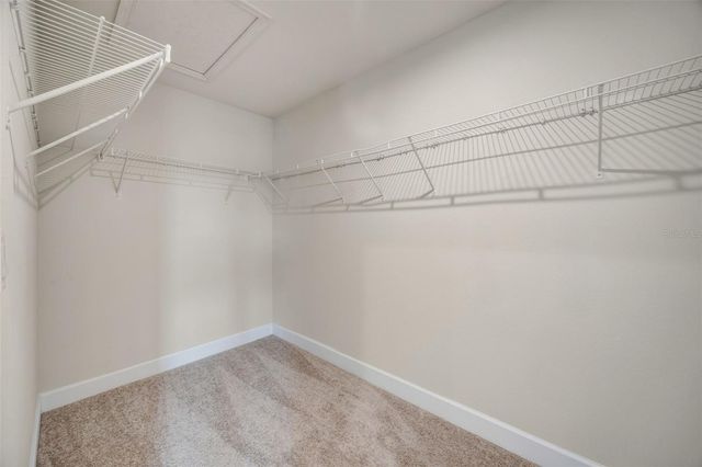 14478 PROMENADE, Odessa, FL 33556