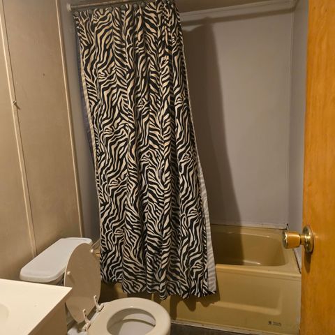 6348 Lawrence 1207, Ash Grove, MO 65604