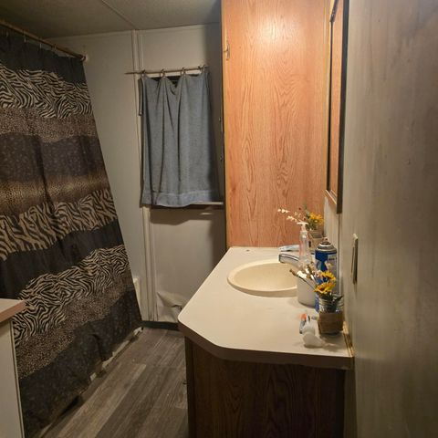 6348 Lawrence 1207, Ash Grove, MO 65604