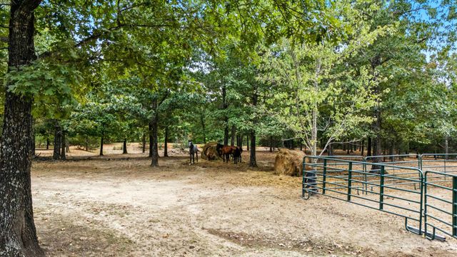 64 Traw Lane, Mammoth Spring, AR 72554