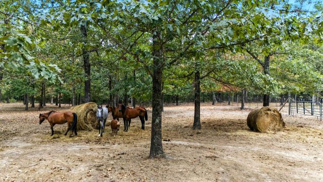 64 Traw Lane, Mammoth Spring, AR 72554