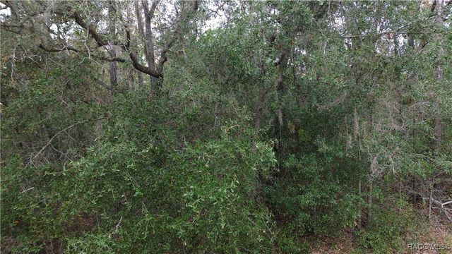 9700 N LANGDON Road, Citrus Springs, FL 34434