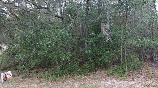 9700 N LANGDON Road, Citrus Springs, FL 34434