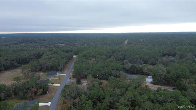 9700 N LANGDON Road, Citrus Springs, FL 34434