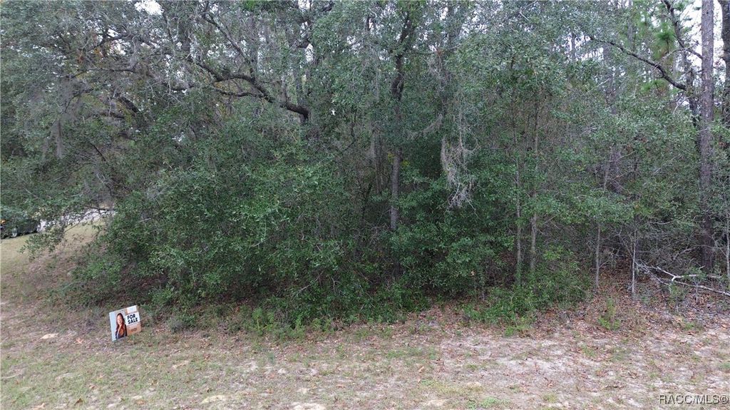 9700 N LANGDON Road, Citrus Springs, FL 34434
